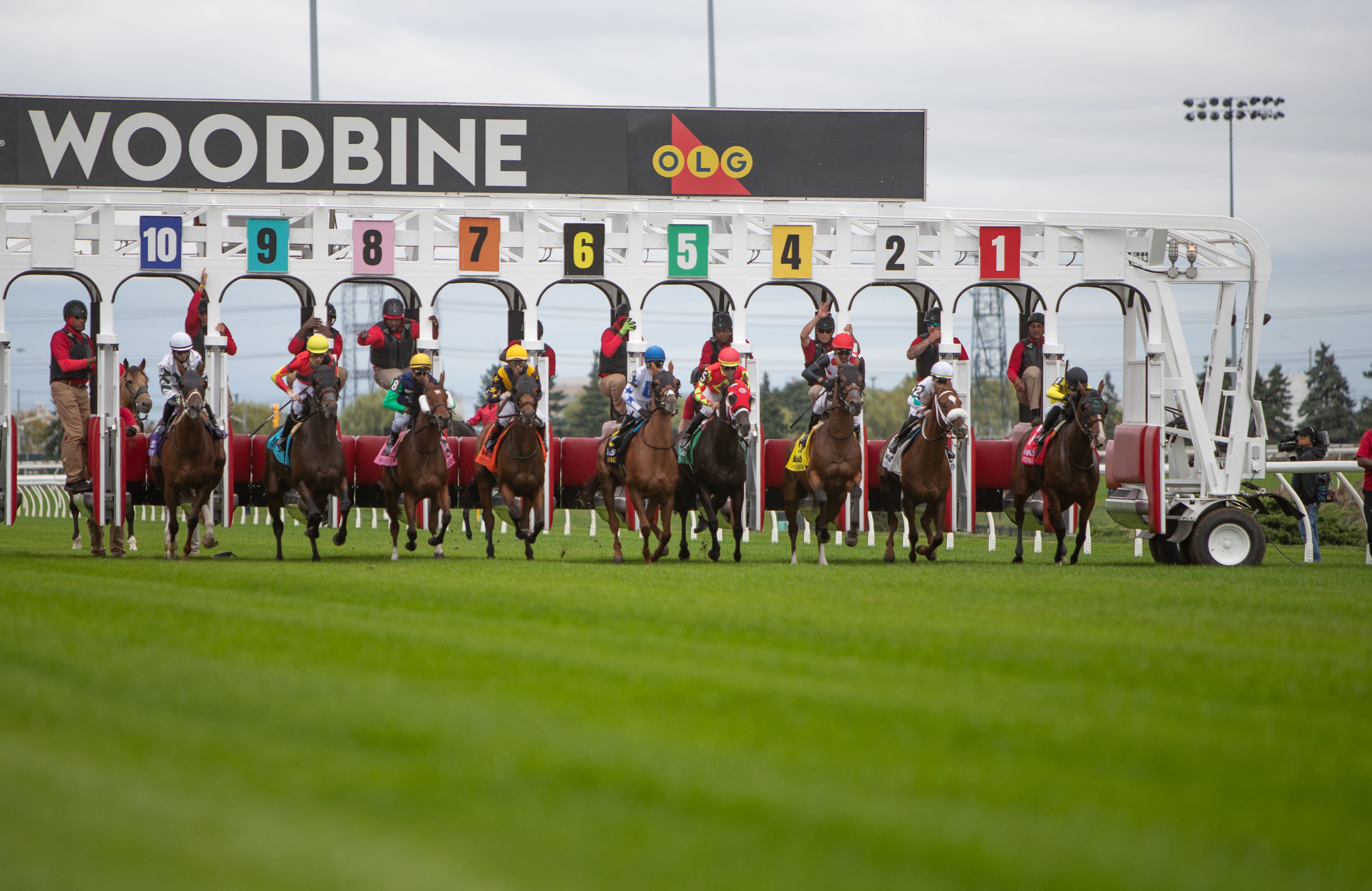 DRF's Horse Racing Playbook for Thursday, September 25, 2025